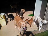 daycare pic 48 - play time